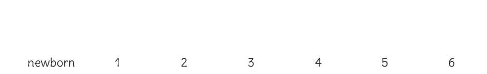 A timeline showing newborn, 1,2,3,4,5,6