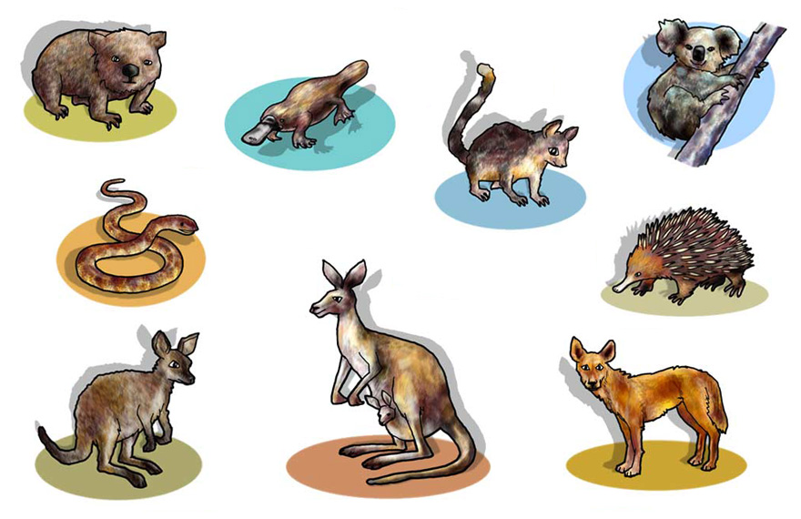 Australian Animals