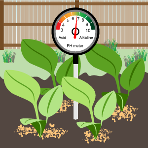 A pH meter in a garden bed showing the soil's pH level