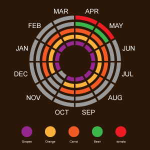 A planting guide graphic showing the 12 months of the year and the ideal time to grow certain vegetables