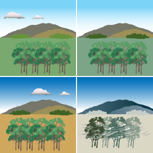 Images of the four seasons, showing different colours to grass and foliage as the seasons change