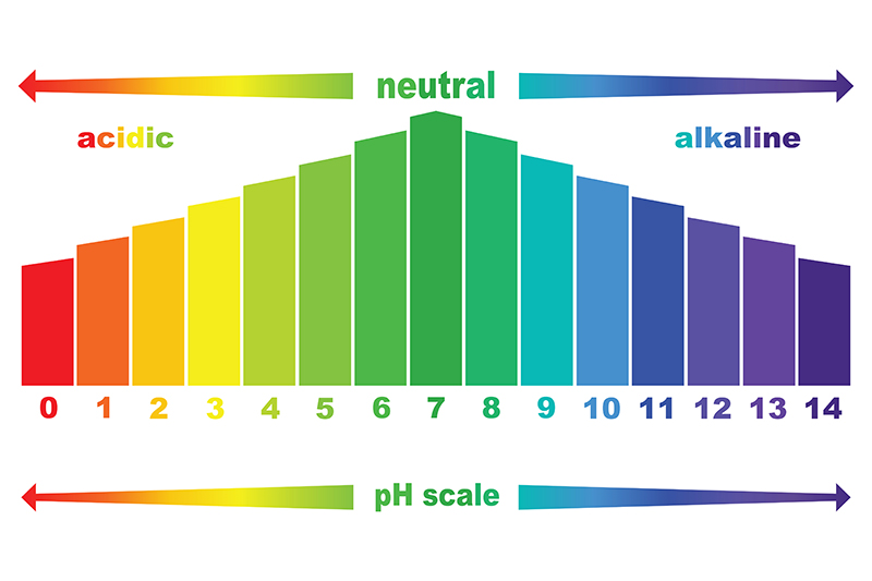 Diagram of a pH chart showing a scale of 0 to 14. A value of 0 is highly acidic. A value of 14 is highly alkaline. A Value of 7 is neutral. Diagram of a pH chart showing a scale of 0 to 14. A value of 0 is highly acidic. A value of 14 is highly alkaline. A Value of 7 is neutral.