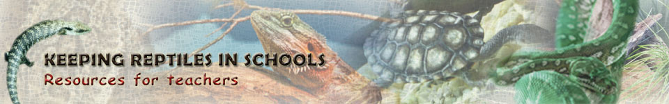 Keeping reptiles in schools
