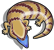 blue tongue lizard