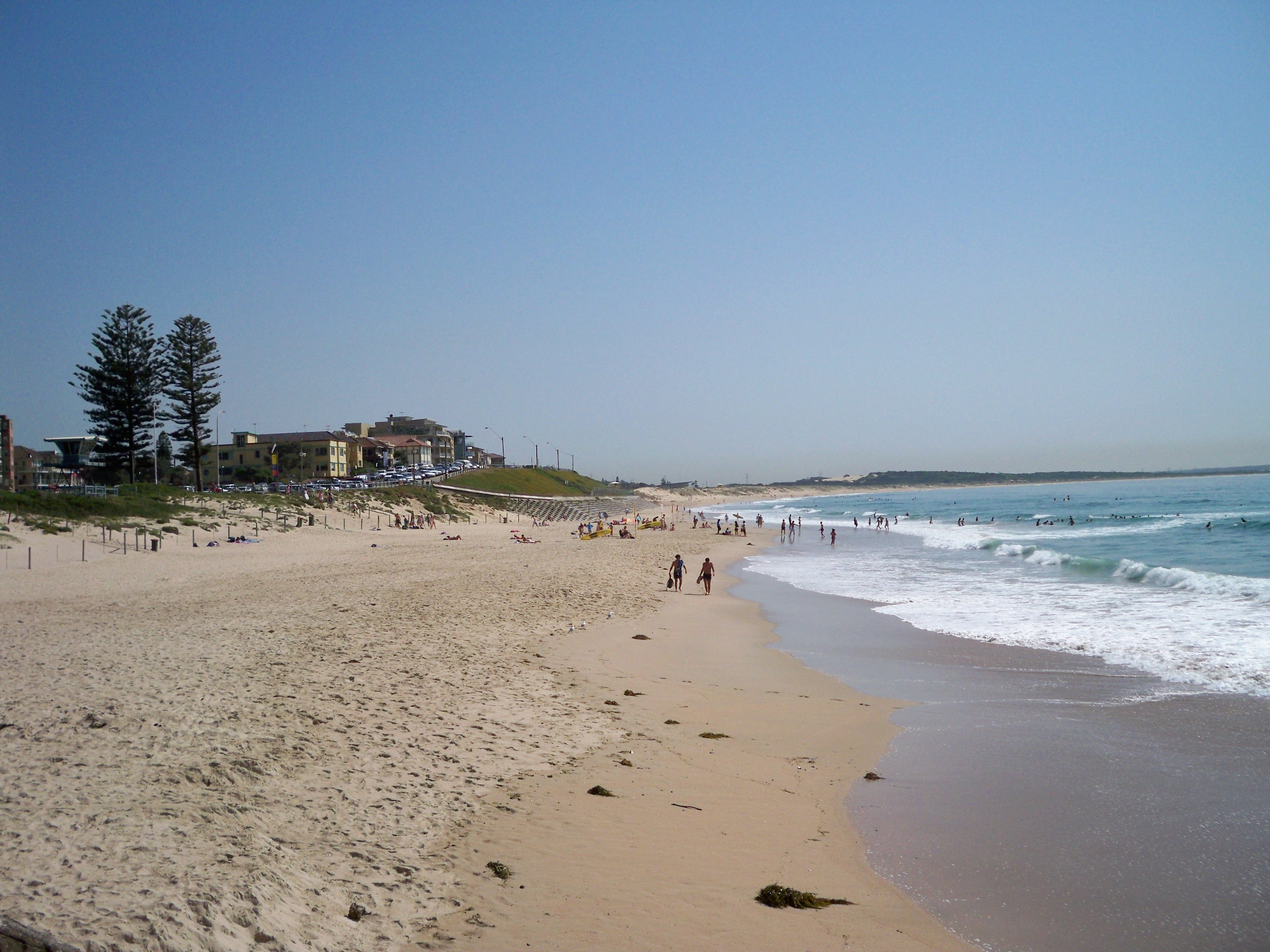 Looking at a beach cross section, with the water on the right and the sand dunes then grass and trees further inland.