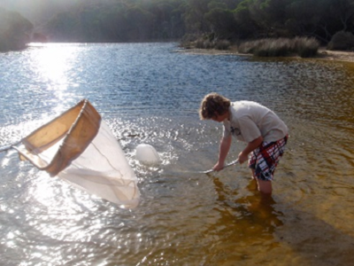 Student drags net through the river shallows. There are trees and shrubs on the shore in the background.