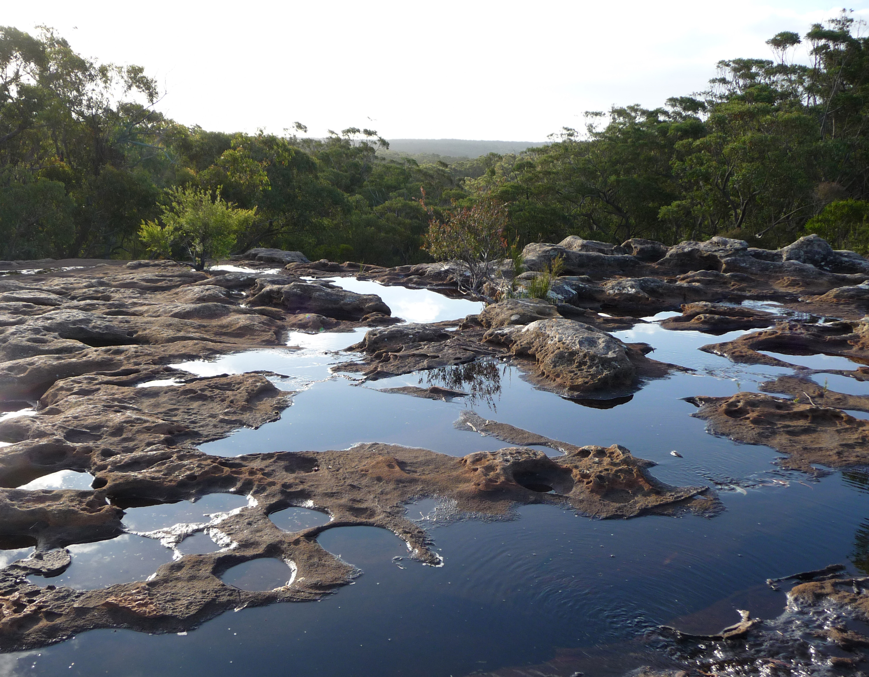 Rocky shallow water course in the foreground, overlooking a valley of dense forest.