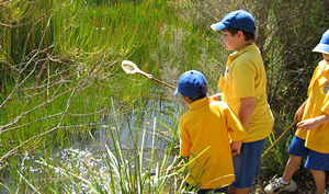 Boys using small dip net in pond