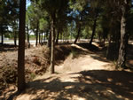 Trenches at Gallipoli