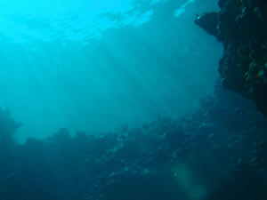 Underwater scene with beams of sunlight Underwater scene with beams of sunlight