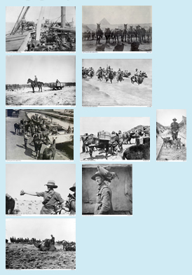 'Animals in war' image gallery thumbnails 'Animals in war' image gallery thumbnails