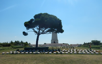 Pine tree stands over grave stones; a monument is in the background Pine tree stands over grave stones; a monument is in the background