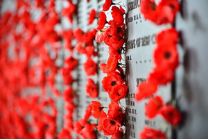 Red poppies on a wall with names listed on it. Red poppies on a wall with names listed on it.