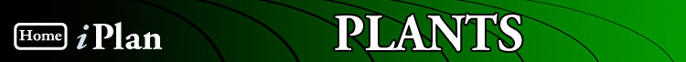 iPlan-Plants page and Home button.Produced by the Centre of Learning Innovation for the NSW Department of Education and Training