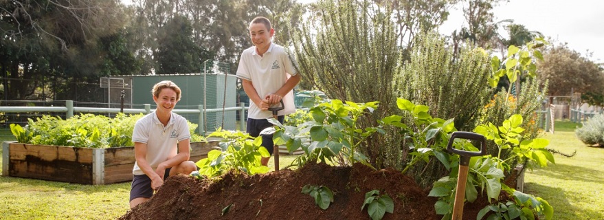 High school students using shovels to dig in veggie patch.